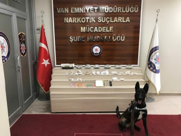 Kömürlükte Gizlenen Uyuşturucu Maddeyi Zeus Buldu