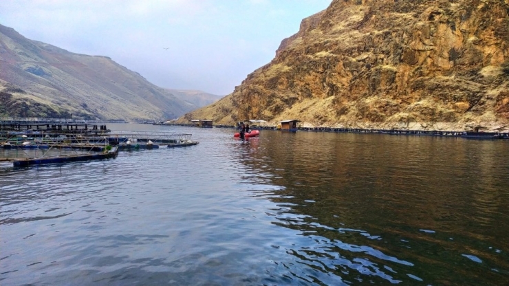 Fırat Nehri’nde 10 Gündür Tüm Ekipler, Kayıp Sürücüyü Arıyor