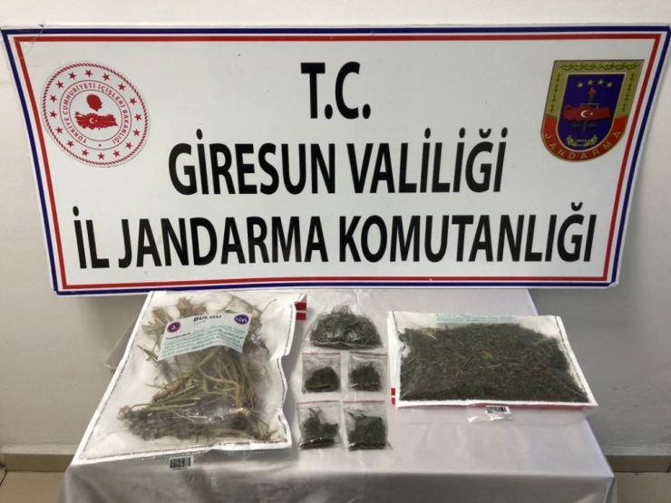 Giresun’da Uyuşturucu Operasyonu: 2 Gözaltı