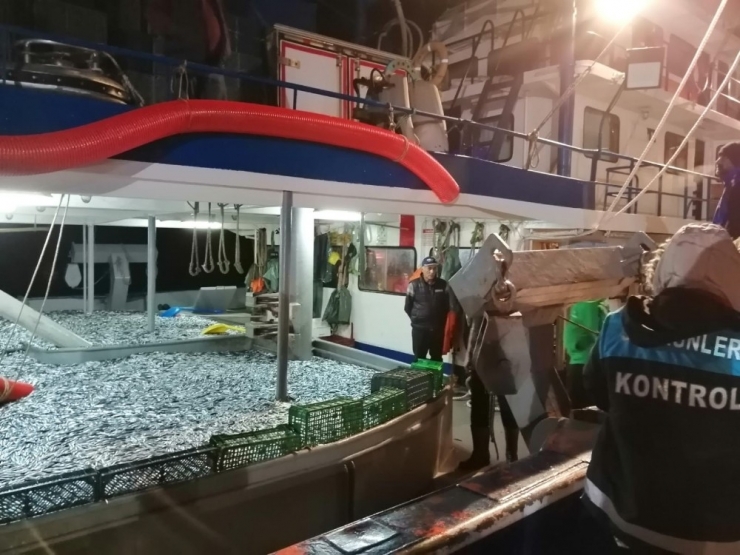 Rize’de 25 Ton Hamsiye El Konuldu