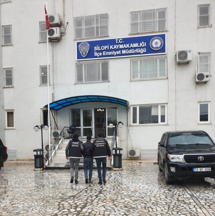 Silopi’de Uyuşturucu Operasyonu: 1 Kişi Tutuklandı