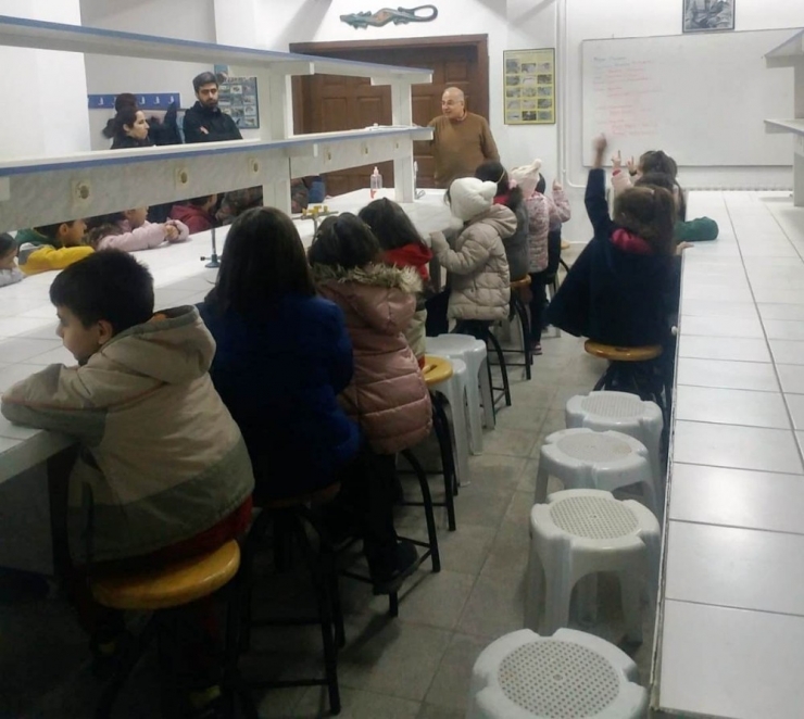 Minik Öğrenciler Sürüngenleri İnceledi