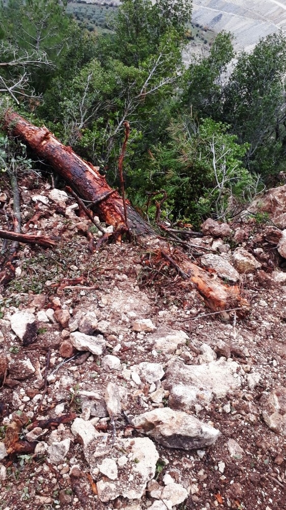 İş Makinesi İle Kaçak Kazı Yaparken Yakalandılar