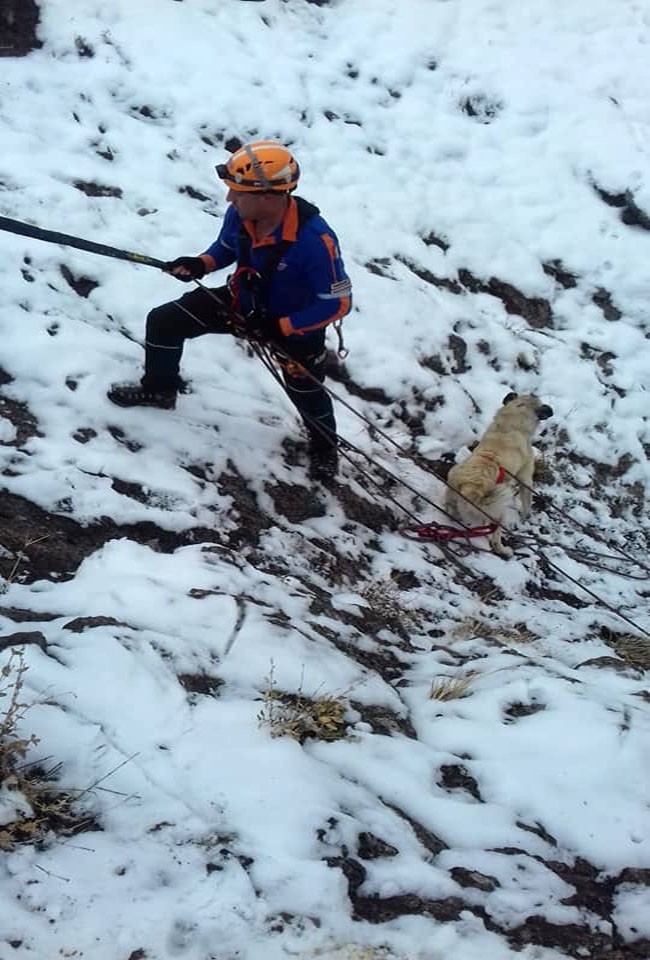 Mahsur Kalan Köpeği Afad Kurtardı