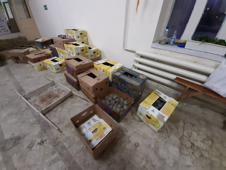 Türkiye’den Rusya’ya Kaçırılan 3 Bin Adet Kaplumbağa Ele Geçirildi