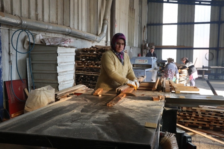 Kadınlar Ekmeğini Keresteden Çıkarıyor