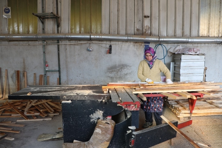 Kadınlar Ekmeğini Keresteden Çıkarıyor