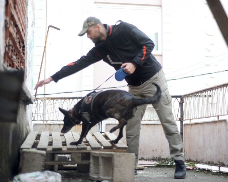 Giresun’da Metruk Binalara Narkotik Operasyonu