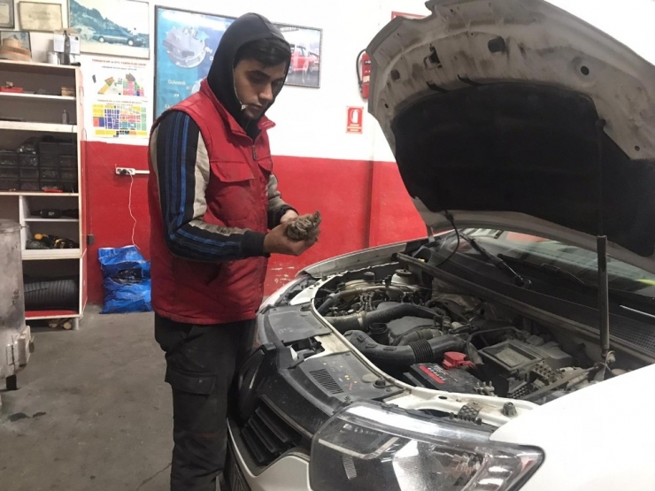 Kış Aylarında Araç Bakımlarına Dikkat