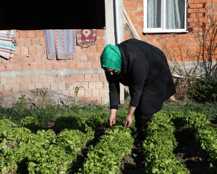 Ukraynalı Nataliya Herkesin "Şengül Abla"sı Oldu