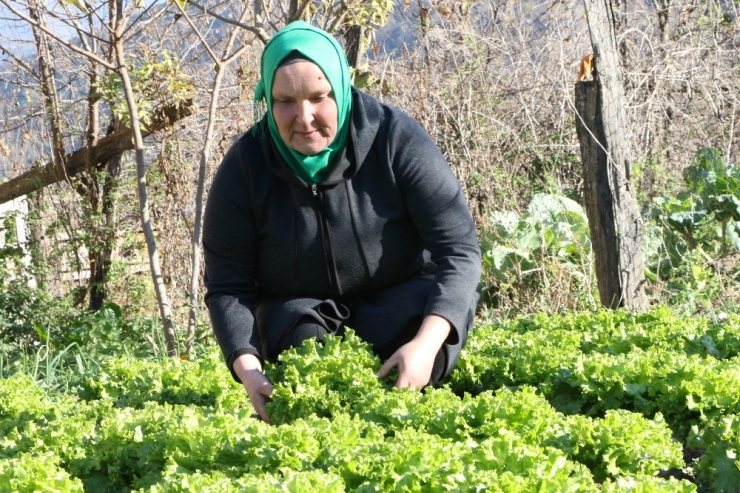 Ukraynalı Nataliya Herkesin "Şengül Abla"sı Oldu