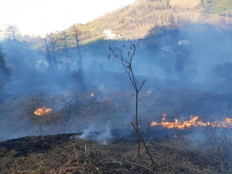 Artvin’de Çaylık Alanda Yangın Çıktı