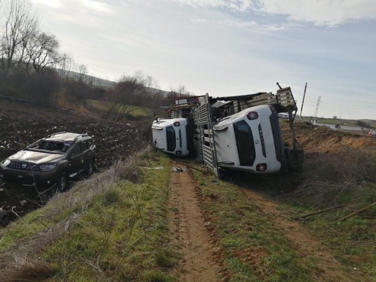 Tarlada Şok Görüntü