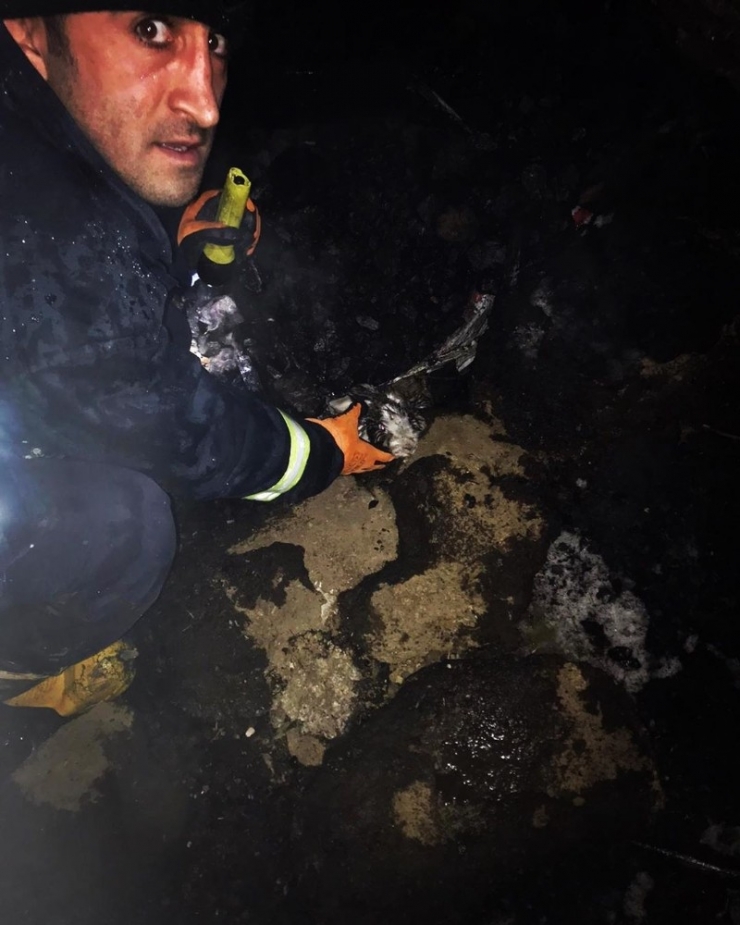 Çaldıran’da Çıkan Yangında 25 Tavuk, 6 Tavşan Telef Oldu