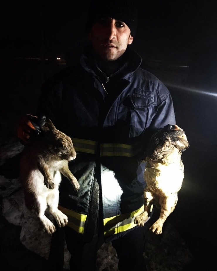 Çaldıran’da Çıkan Yangında 25 Tavuk, 6 Tavşan Telef Oldu