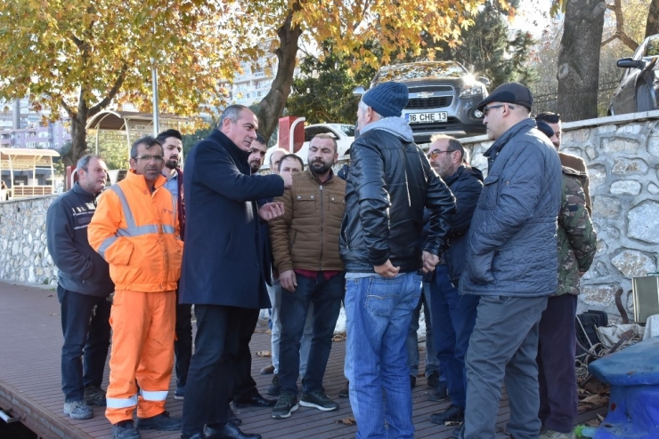 Gemlik’teki Balık Popülasyonu Tehlikede