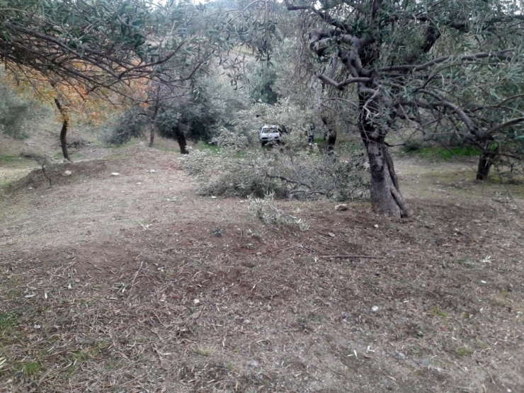 Balıkesir’de Trafik Kazası: 2 Yaralı