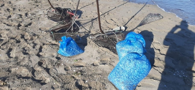 Kaçak Midyeciler Yakalandı