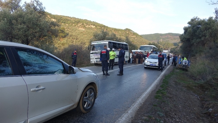 Yolun Karşısına Geçmek İsteyen 75 Yaşındaki Zeytin İşçisi Hayatını Kaybetti
