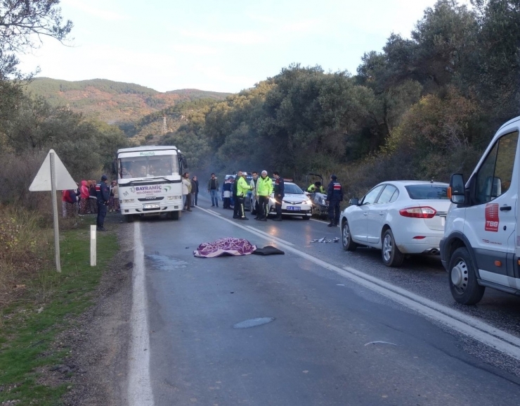 Yolun Karşısına Geçmek İsteyen 75 Yaşındaki Zeytin İşçisi Hayatını Kaybetti