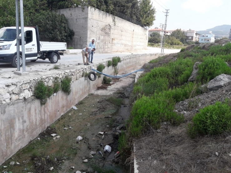Hatay’da Haşereyle Mücadele Devam Ediyor