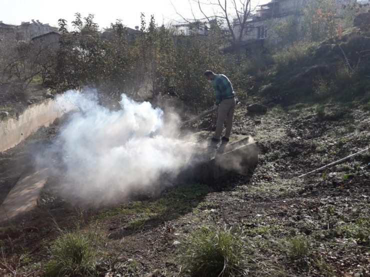 Hatay’da Haşereyle Mücadele Devam Ediyor