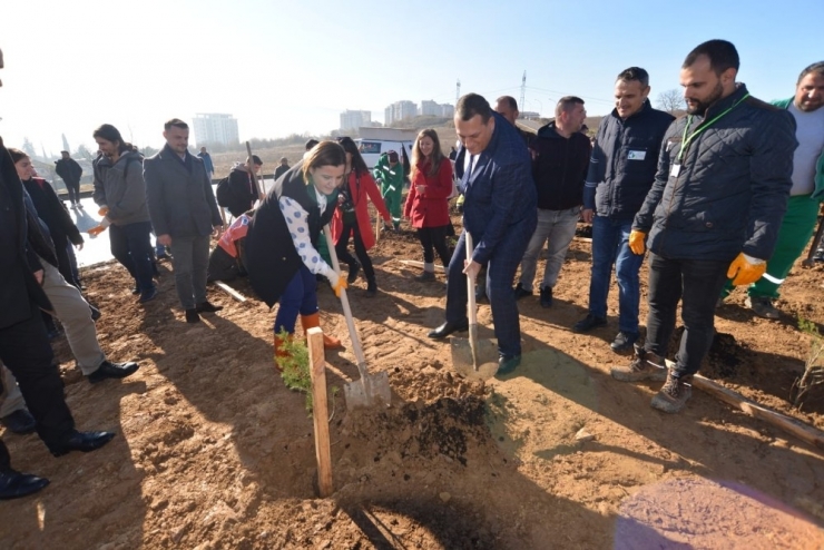 İzmit’te 750 Adet Fidan Toprakla Buluştu