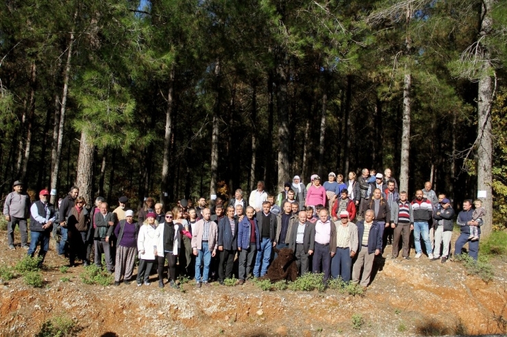 Ağaç Kesimine Mahalleliden Alkışlı Tepki