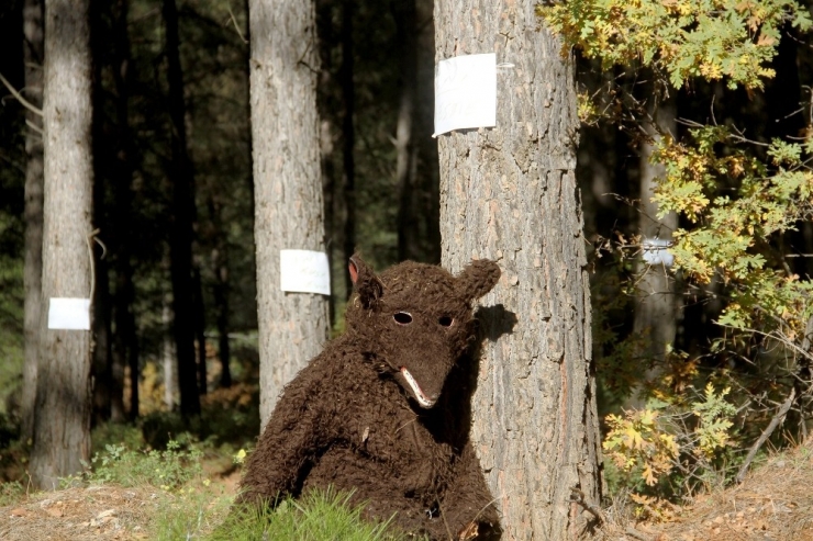 Ağaç Kesimine Mahalleliden Alkışlı Tepki