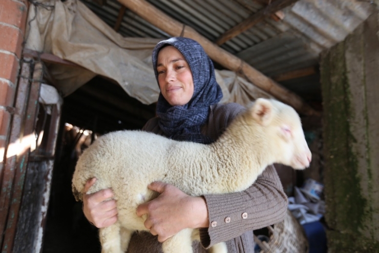 Orman Köylüsüne Büyük Destek
