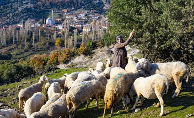 Orman Köylüsüne Büyük Destek