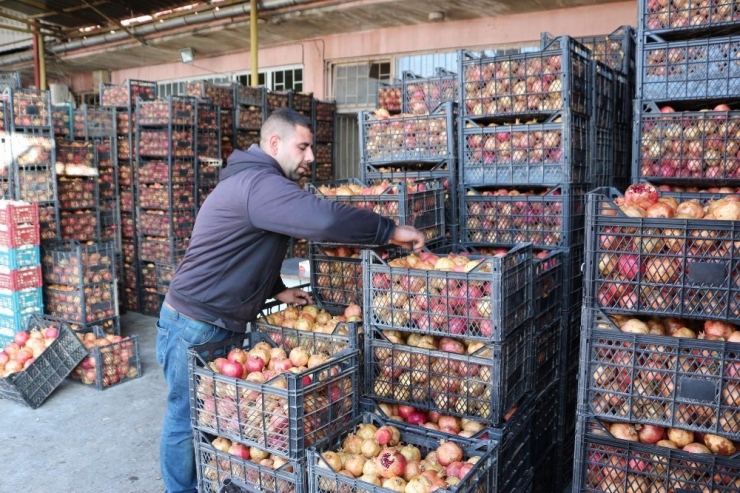 Siirt Zivzik Narı Hem Üreticinin Hem De Tüketicinin Yüzünü Güldürdü