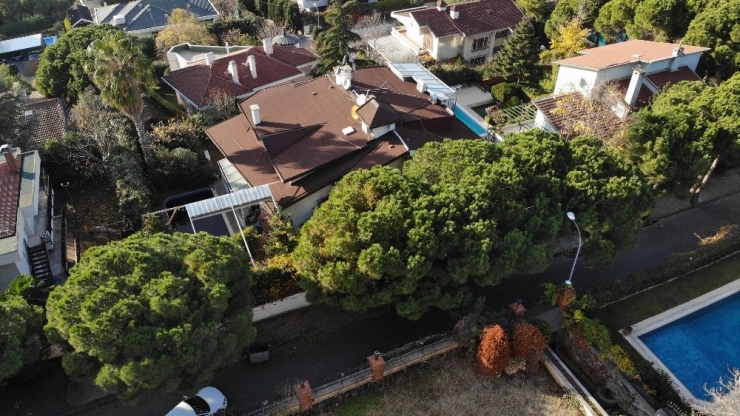 ‘Kedicik’lerin Kaldığı İddia Edilen Lüks Villa Havadan Görüntülendi