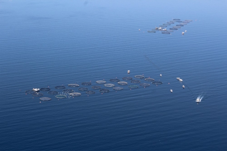 Türkiye’den 100 Ülkeye İhraç Yapılıyor