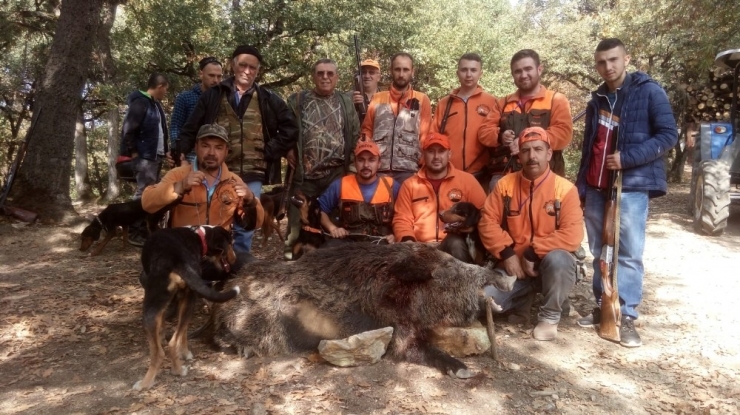 İnegöllü Avcılar Dev Domuz Avladı