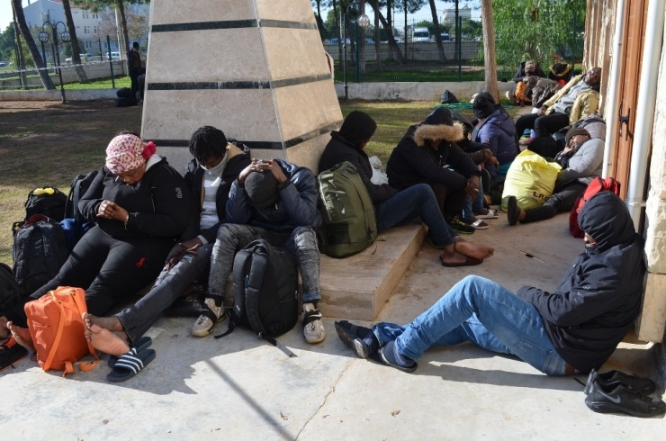 Didim’de 46 Göçmen Yakalandı