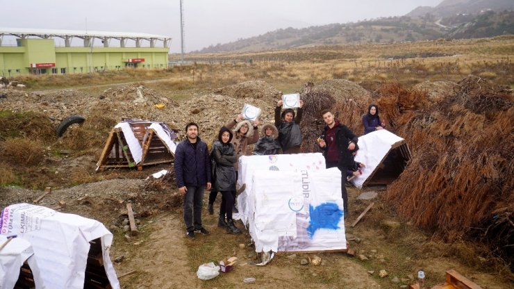 Belediye Ve Üniversite Öğrencileri Sokak Hayvanlarına Barınak Yaptı