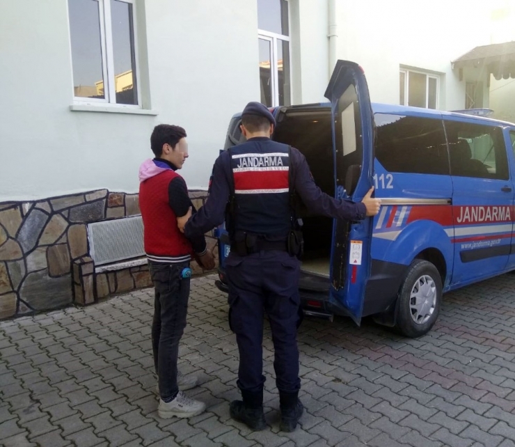 Jandarma İzmir’de Oto Faresini Enseledi