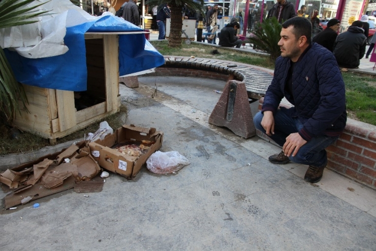 Soğuktan Etkilenen Sokak Köpeği Ve Yavruları İçin Kulübe Yaptırdı