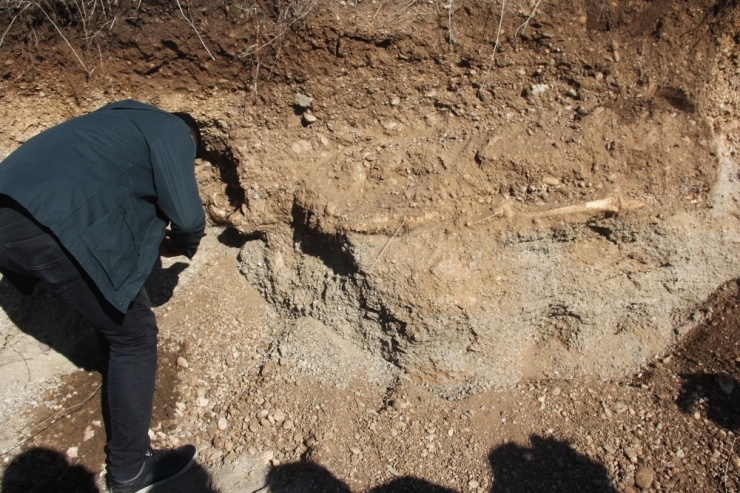 Yol Çalışmasında İnsan İskeleti Bulundu