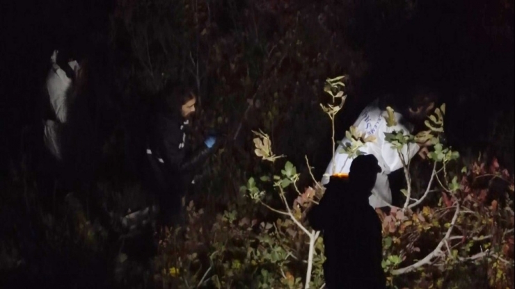 Uçuruma Yuvarlanan Otomobilin Sürücüsü Ağır Yaralandı