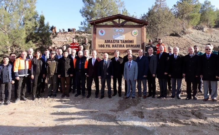 Amasya Tamimi 100. Yıl Hatıra Ormanı’na Fidanlar Dikildi