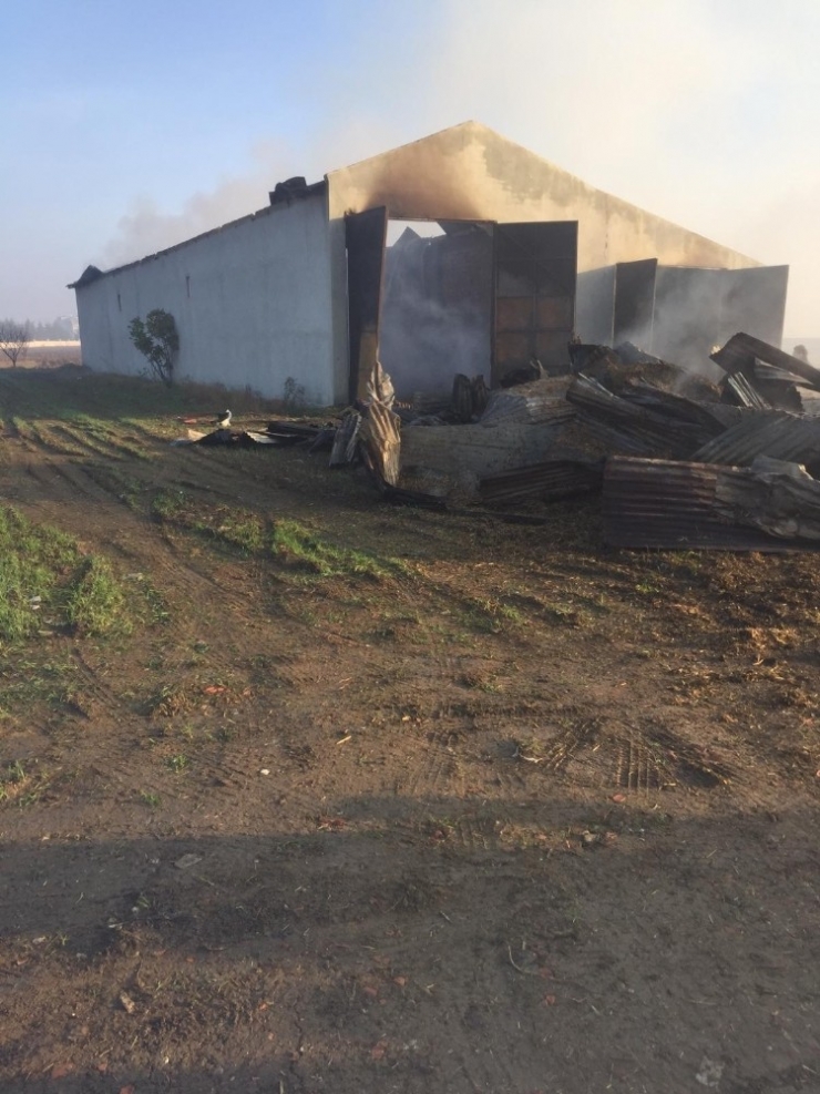 6 Bin Saman Balyası Kül Oldu