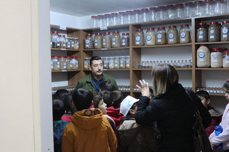 Öğrencilere Muğla’nın Yerel Tohumları Anlatıldı