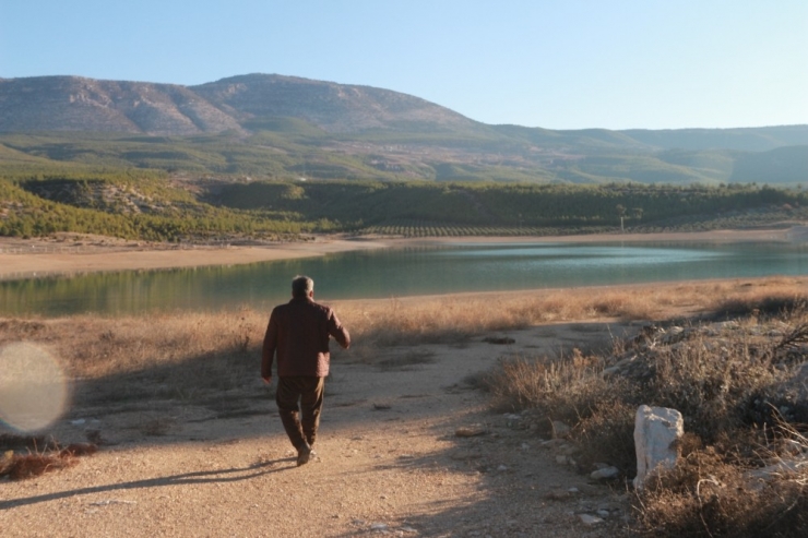 Sulama Göletinde Balıklar Kıyıya Vurdu