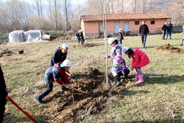 Orman Bölge Müdürlüğünden Fidan Dikim Etkinlikleri