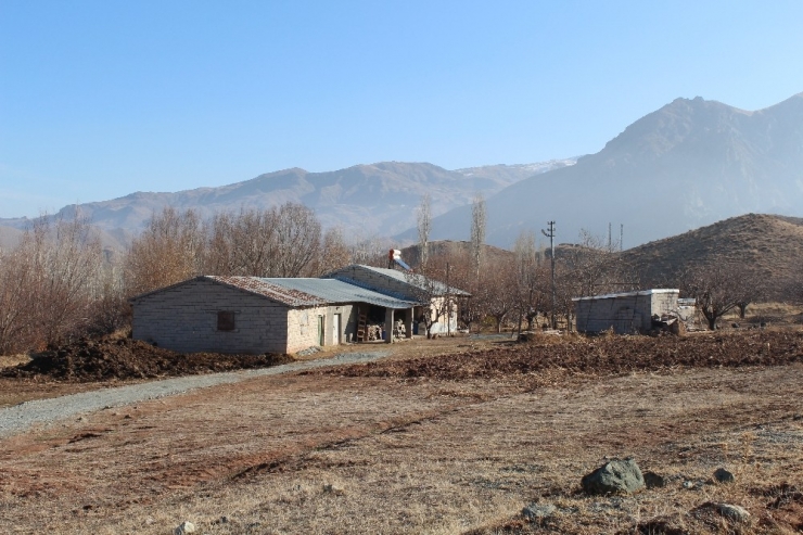 Foseptik Çukurunda Bulunan Cesetle İlgili Ağabey Ve Yenge Tutuklandı