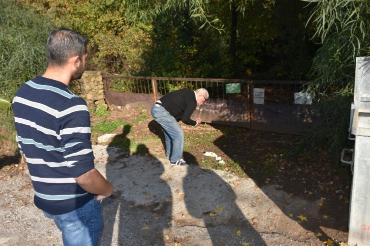 Marmaris’te Sahipli Köpekler Zehirlendi