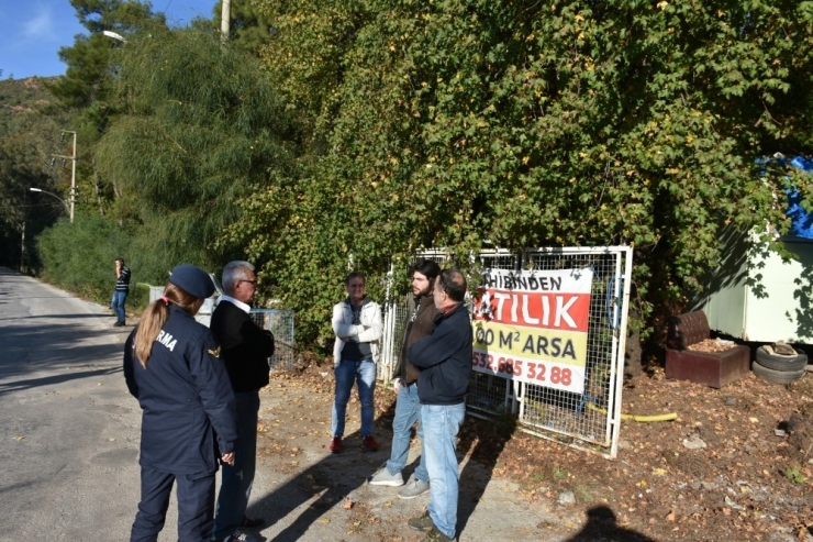 Marmaris’te Sahipli Köpekler Zehirlendi