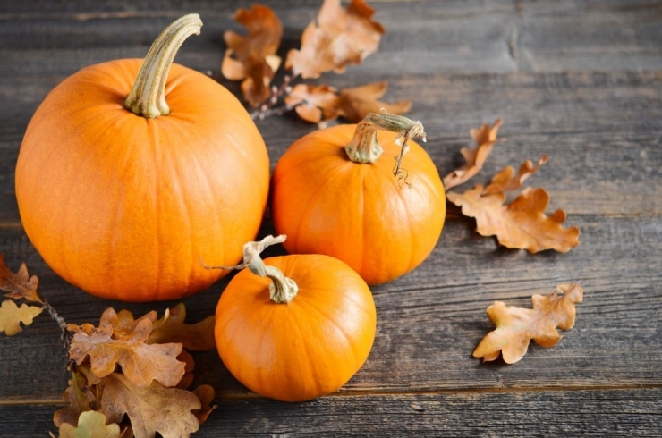 Kış Hastalıklarıyla Savaşan 8 Besin